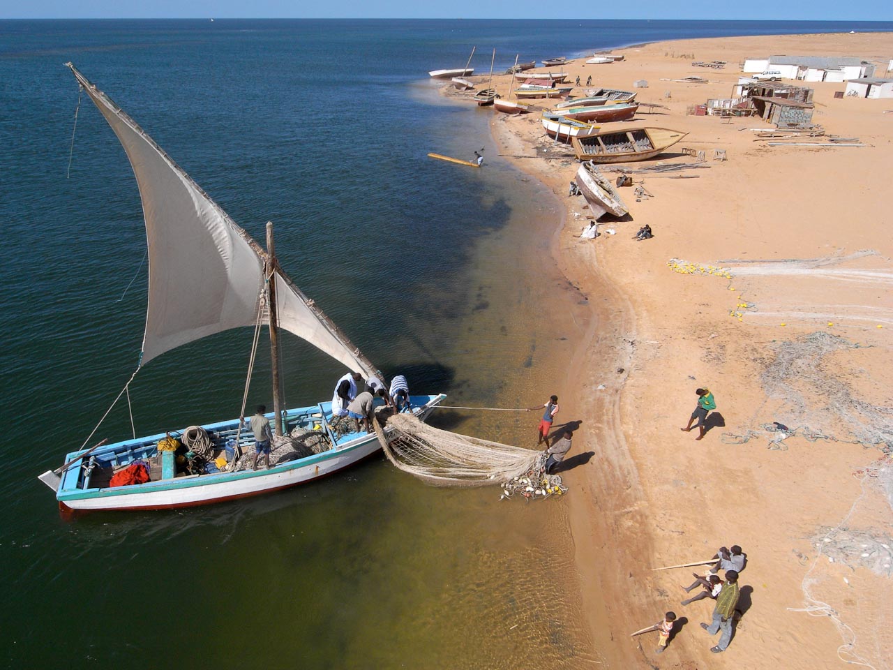 Groupe de marcheurs en action